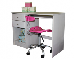 Nikau Desk Nikau Desk